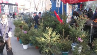 Kisinyov, 2016. december 30. A Julián-naptárt használó ortodoxok karácsonyra készülnek