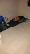 Horkolásmentes alvóhely egy épülőfélben levő menedékháznál a Lesi-tó környékén...