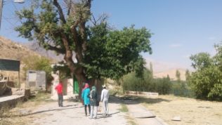 On September 18, 2017 we woke up at 9. Right after breakfast we went to see the village of Padena. It’s basically an oasis in the arid region: they cultivate apple, nuts and so on. Our first stop was the cemetery. Surprisingly few people have been buried here. We didn’t get a clear answer, why. The tree in the picture is old… :)