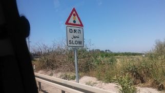 Trylingual signs in Israel